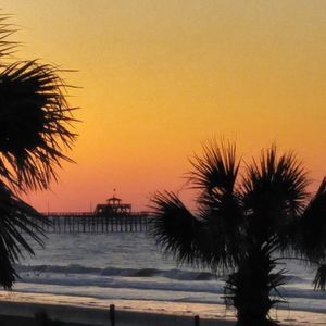 Meet your Posher, Anne